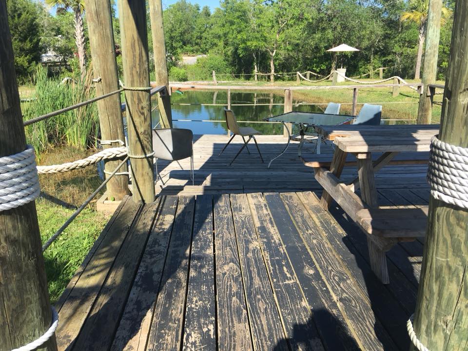 31357966_1739269219474342_5780989881215877120_n