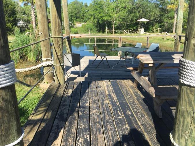 31357966_1739269219474342_5780989881215877120_n